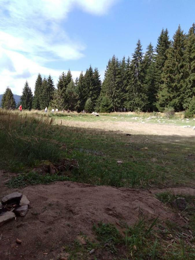 Пампорово Студио Милка В Хотел Росица Extérieur photo